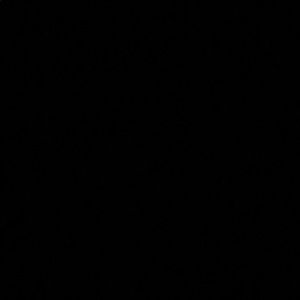 Meet your Posher, Oscar